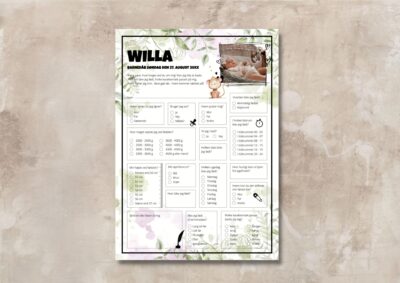 Willa | Quiz til barnedåb