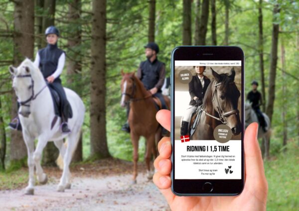 digital gavekort ridning