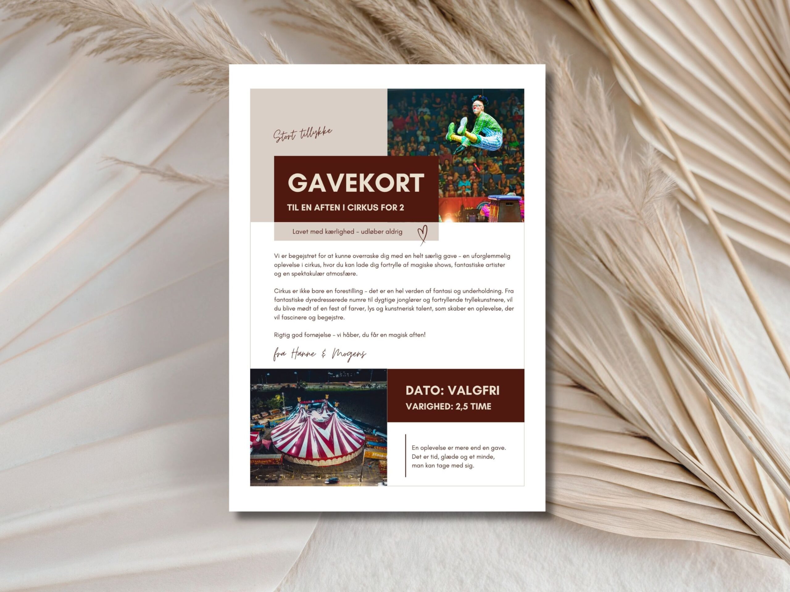 cirkus gavekort